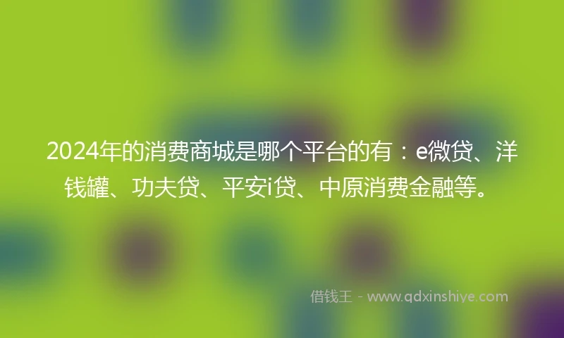 2024年的消费商城是哪个平台的有：e微贷、洋钱罐、功夫贷、平安i贷、中原消费金融等。
