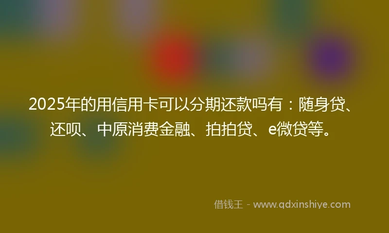 2025年的用信用卡可以分期还款吗有：随身贷、还呗、中原消费金融、拍拍贷、e微贷等。