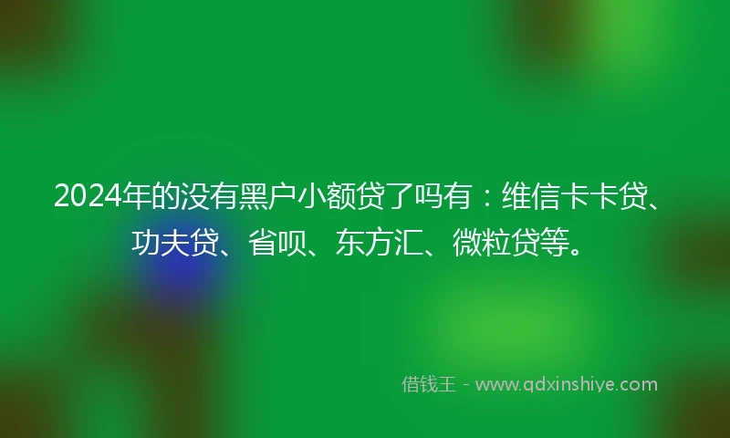 2024年的没有黑户小额贷了吗有：维信卡卡贷、功夫贷、省呗、东方汇、微粒贷等。