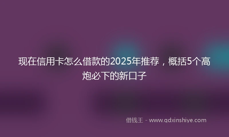 现在信用卡怎么借款的2025年推荐，概括5个高炮必下的新口子