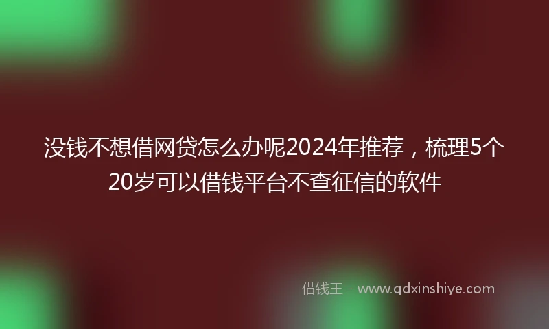 没钱不想借网贷怎么办呢2024年推荐，梳理5个20岁可以借钱平台不查征信的软件