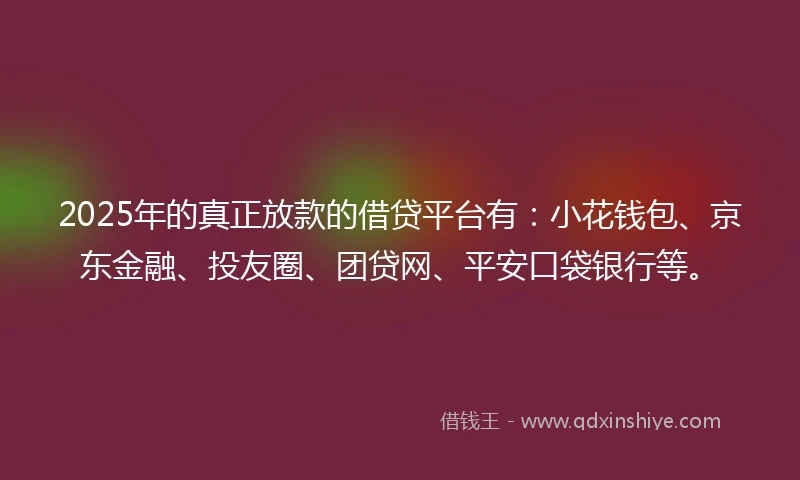 2025年的真正放款的借贷平台有：小花钱包、京东金融、投友圈、团贷网、平安口袋银行等。