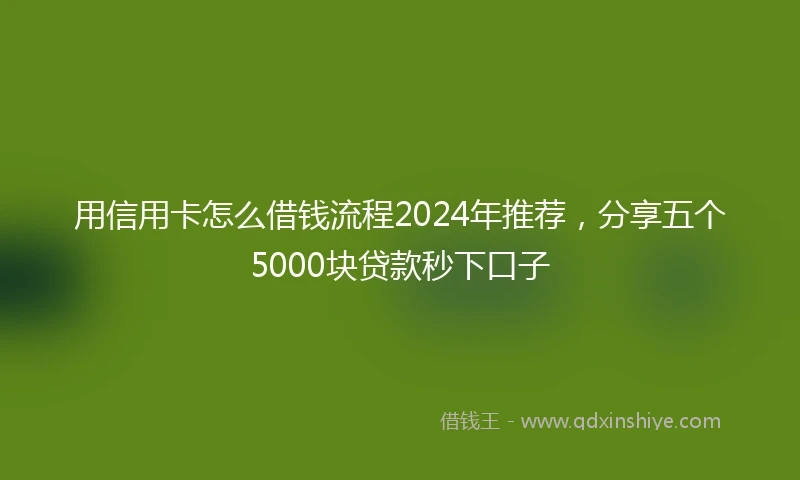 用信用卡怎么借钱流程2024年推荐，分享五个5000块贷款秒下口子