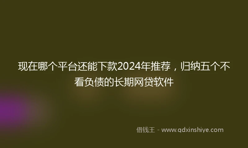 现在哪个平台还能下款2024年推荐，归纳五个不看负债的长期网贷软件