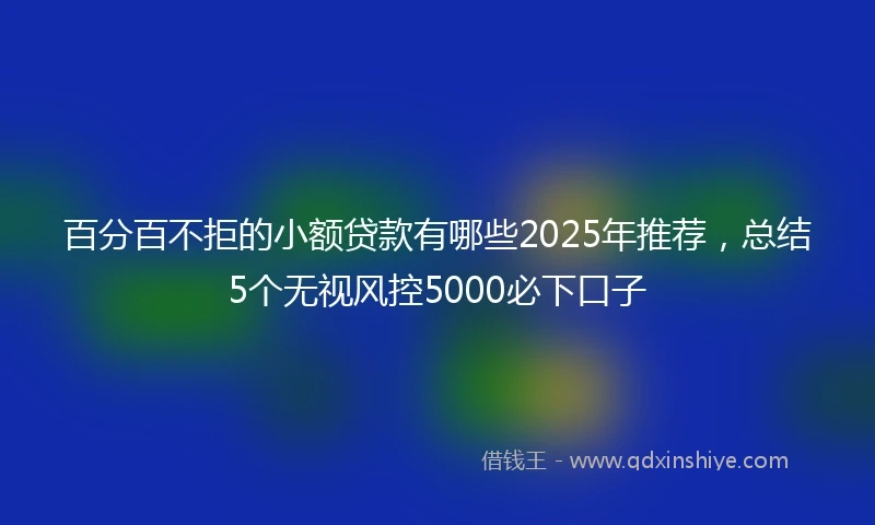 百分百不拒的小额贷款有哪些2025年推荐，总结5个无视风控5000必下口子