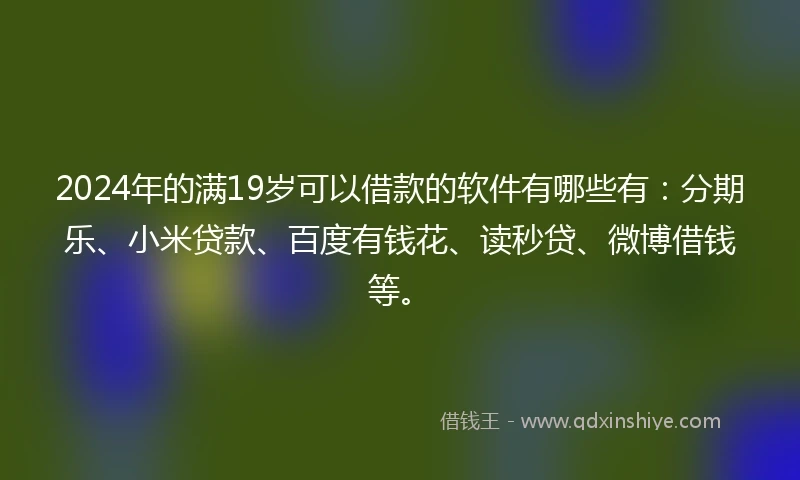 2024年的满19岁可以借款的软件有哪些有：分期乐、小米贷款、百度有钱花、读秒贷、微博借钱等。