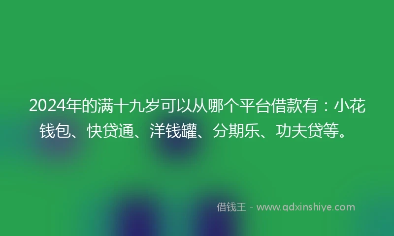 2024年的满十九岁可以从哪个平台借款有:小花钱包、快贷通、洋钱罐、分期乐、功夫贷等。