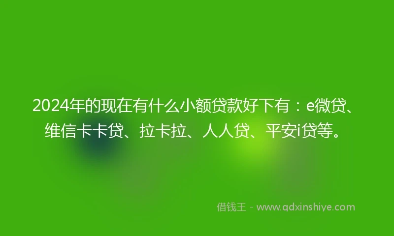 2024年的现在有什么小额贷款好下有：e微贷、维信卡卡贷、拉卡拉、人人贷、平安i贷等。