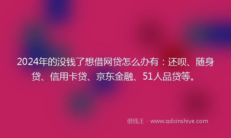 2024年的没钱了想借网贷怎么办有：还呗、随身贷、信用卡贷、京东金融、51人品贷等。