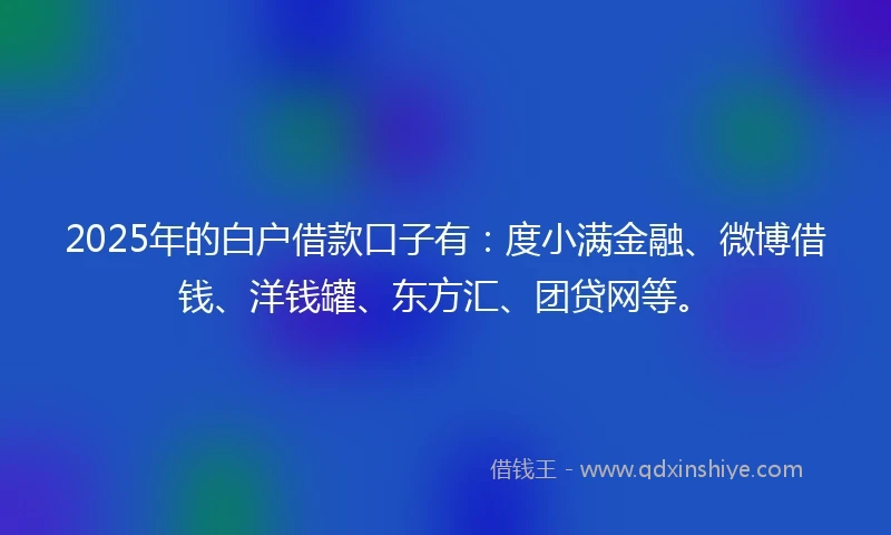 2025年的白户借款口子有：度小满金融、微博借钱、洋钱罐、东方汇、团贷网等。