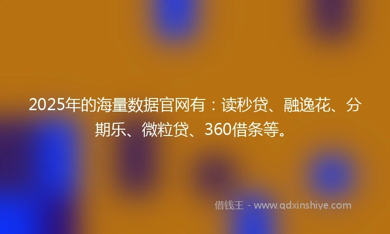 2025年的海量数据官网有：读秒贷、融逸花、分期乐、微粒贷、360借条等。