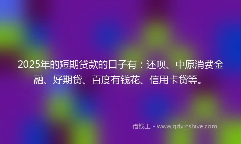 2025年的短期贷款的口子有：还呗、中原消费金融、好期贷、百度有钱花、信用卡贷等。