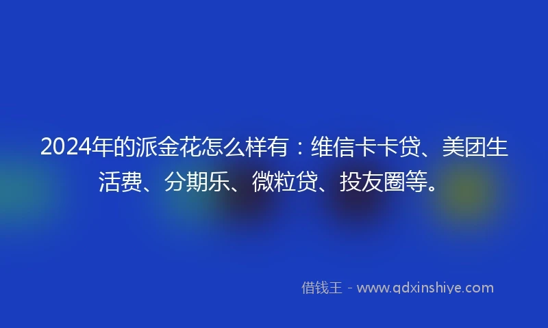 2024年的派金花怎么样有：维信卡卡贷、美团生活费、分期乐、微粒贷、投友圈等。