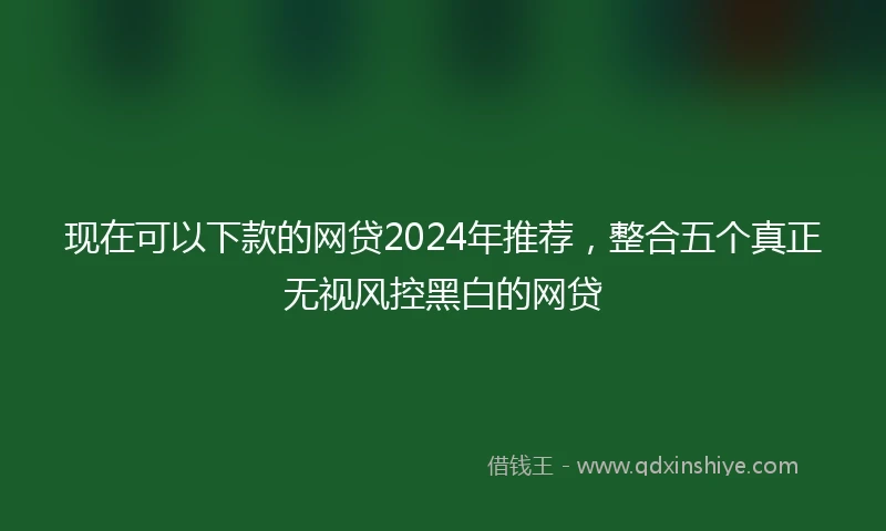 现在可以下款的网贷2024年推荐,整合五个真正无视风控黑白的网贷