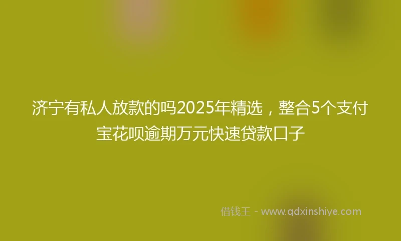 济宁有私人放款的吗2025年精选，整合5个支付宝花呗逾期万元快速贷款口子