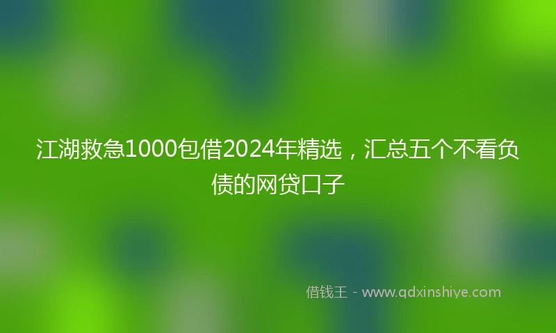 江湖救急1000包借2024年精选，汇总五个不看负债的网贷口子