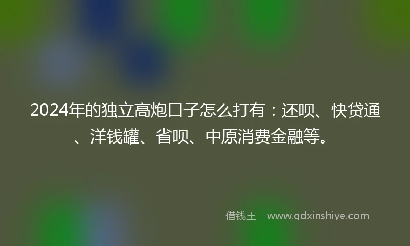 2024年的独立高炮口子怎么打有：还呗、快贷通、洋钱罐、省呗、中原消费金融等。