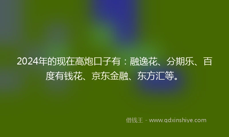 2024年的现在高炮口子有：融逸花、分期乐、百度有钱花、京东金融、东方汇等。