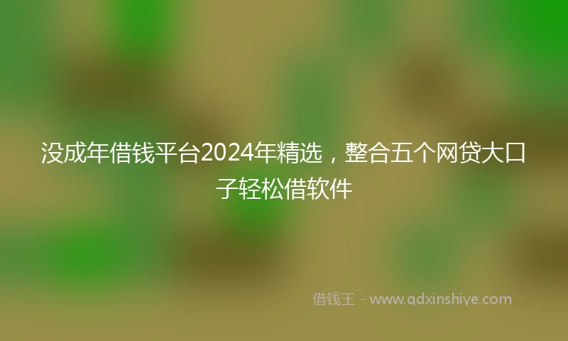 没成年借钱平台2024年精选，整合五个网贷大口子轻松借软件