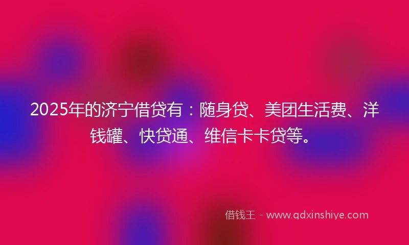 2025年的济宁借贷有：随身贷、美团生活费、洋钱罐、快贷通、维信卡卡贷等。