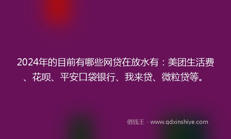 2024年的目前有哪些网贷在放水有：美团生活费、花呗、平安口袋银行、我来贷、微粒贷等。