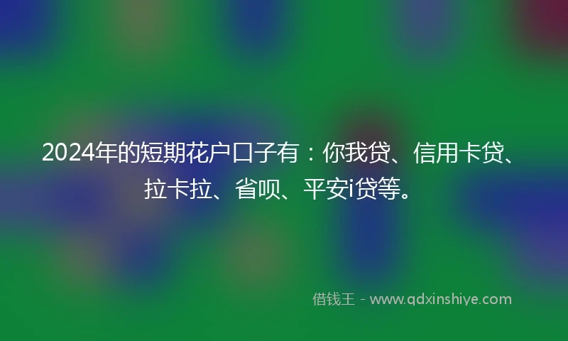 2024年的短期花户口子有：你我贷、信用卡贷、拉卡拉、省呗、平安i贷等。