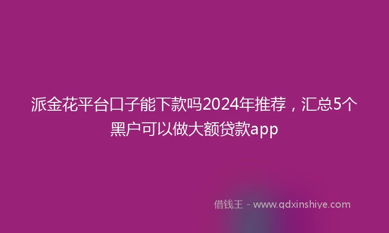 派金花平台口子能下款吗2024年推荐，汇总5个黑户可以做大额贷款app