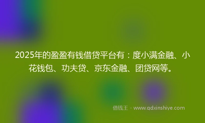 2025年的盈盈有钱借贷平台有：度小满金融、小花钱包、功夫贷、京东金融、团贷网等。
