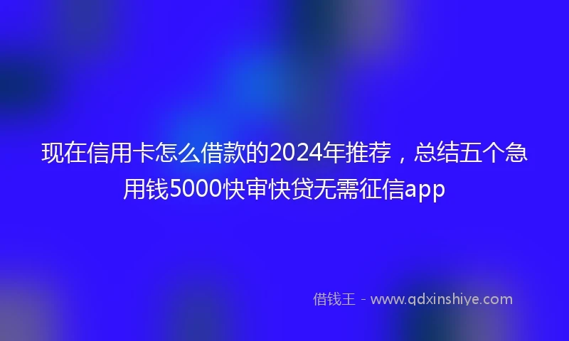 现在信用卡怎么借款的2024年推荐，总结五个急用钱5000快审快贷无需征信app