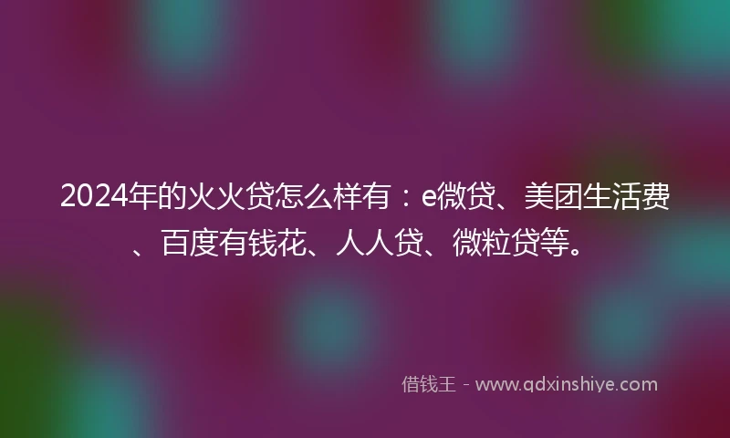 2024年的火火贷怎么样有：e微贷、美团生活费、百度有钱花、人人贷、微粒贷等。