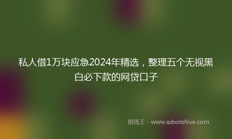私人借1万块应急2024年精选，整理五个无视黑白必下款的网贷口子