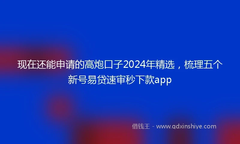 现在还能申请的高炮口子2024年精选，梳理五个新号易贷速审秒下款app