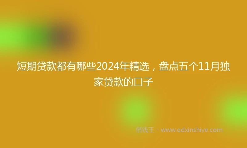 短期贷款都有哪些2024年精选，盘点五个11月独家贷款的口子