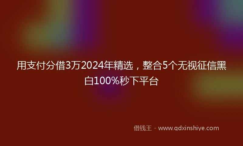 用支付分借3万2024年精选，整合5个无视征信黑白100%秒下平台