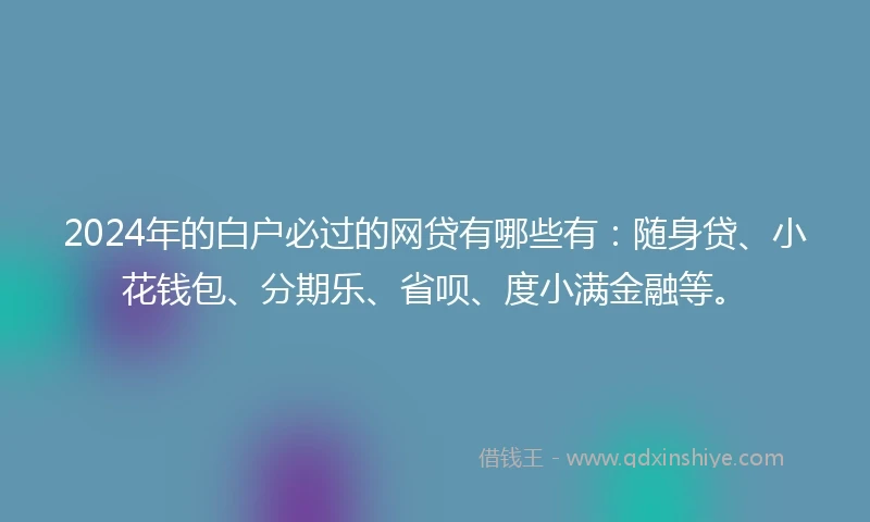 2024年的白户必过的网贷有哪些有：随身贷、小花钱包、分期乐、省呗、度小满金融等。