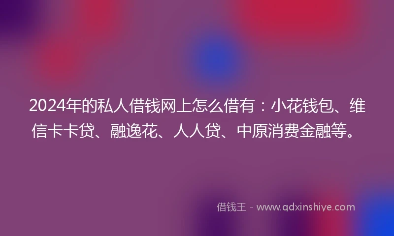 2024年的私人借钱网上怎么借有：小花钱包、维信卡卡贷、融逸花、人人贷、中原消费金融等。
