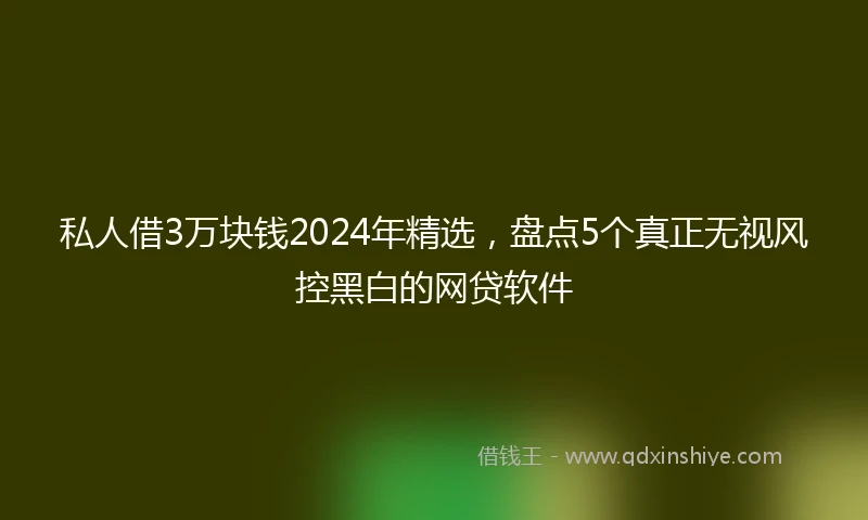 私人借3万块钱2024年精选，盘点5个真正无视风控黑白的网贷软件