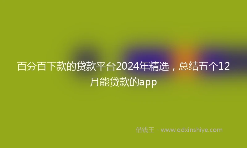 百分百下款的贷款平台2024年精选，总结五个12月能贷款的app