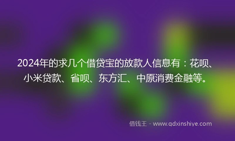 2024年的求几个借贷宝的放款人信息有：花呗、小米贷款、省呗、东方汇、中原消费金融等。