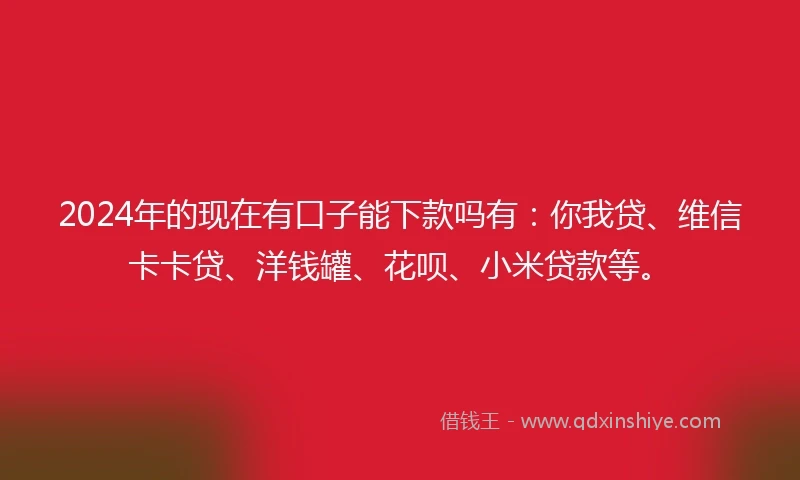 2024年的现在有口子能下款吗有：你我贷、维信卡卡贷、洋钱罐、花呗、小米贷款等。