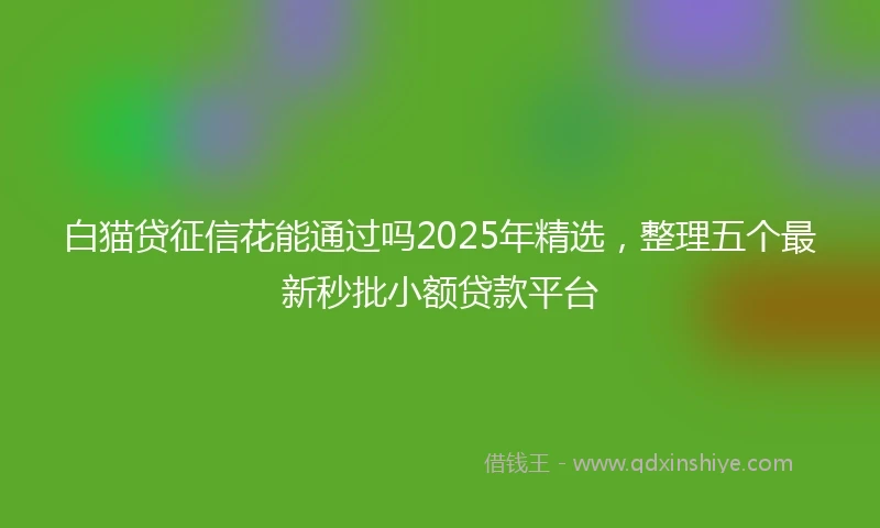 白猫贷征信花能通过吗2025年精选，整理五个最新秒批小额贷款平台