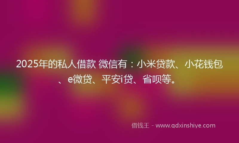 2025年的私人借款 微信有：小米贷款、小花钱包、e微贷、平安i贷、省呗等。