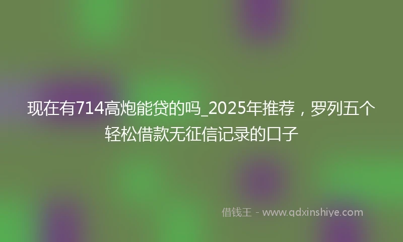 现在有714高炮能贷的吗_2025年推荐，罗列五个轻松借款无征信记录的口子