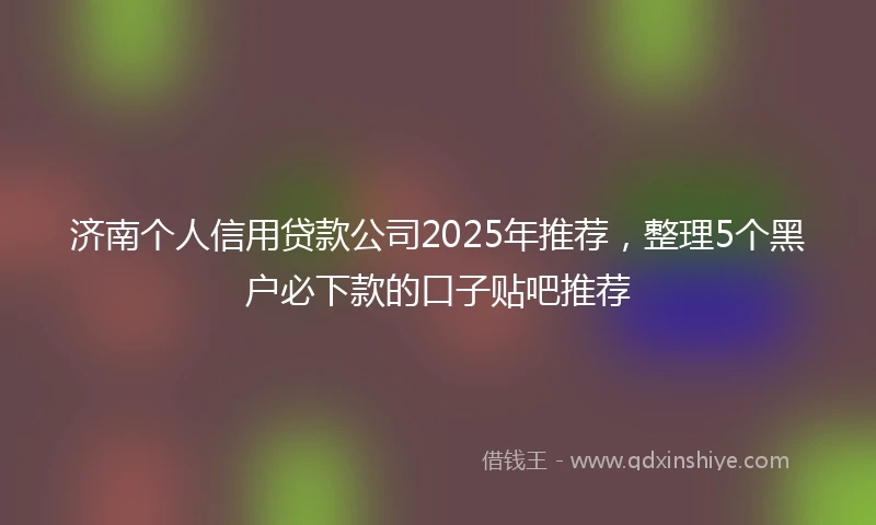 济南个人信用贷款公司2025年推荐，整理5个黑户必下款的口子贴吧推荐