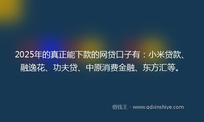 2025年的真正能下款的网贷口子有：小米贷款、融逸花、功夫贷、中原消费金融、东方汇等。