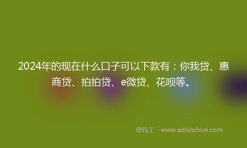 2024年的现在什么口子可以下款有：你我贷、惠商贷、拍拍贷、e微贷、花呗等。