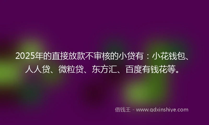 2025年的直接放款不审核的小贷有：小花钱包、人人贷、微粒贷、东方汇、百度有钱花等。
