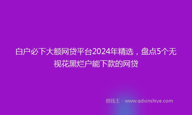 白户必下大额网贷平台2024年精选，盘点5个无视花黑烂户能下款的网贷
