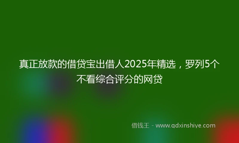 真正放款的借贷宝出借人2025年精选,罗列5个不看综合评分的网贷