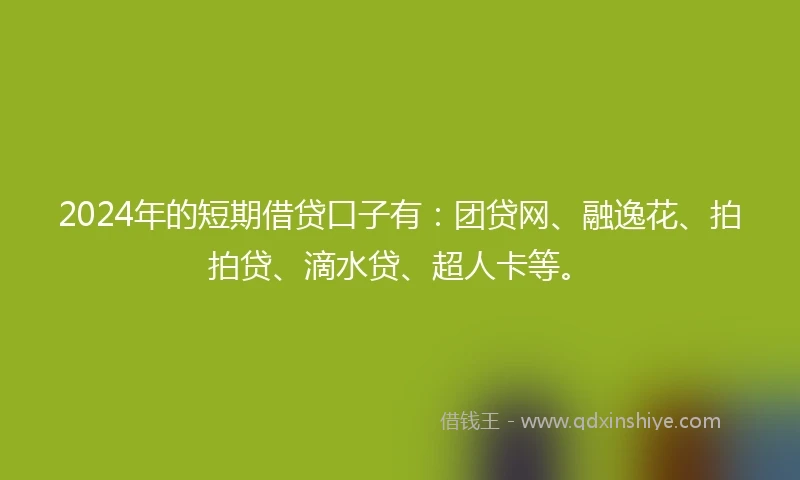 2024年的短期借贷口子有：团贷网、融逸花、拍拍贷、滴水贷、超人卡等。